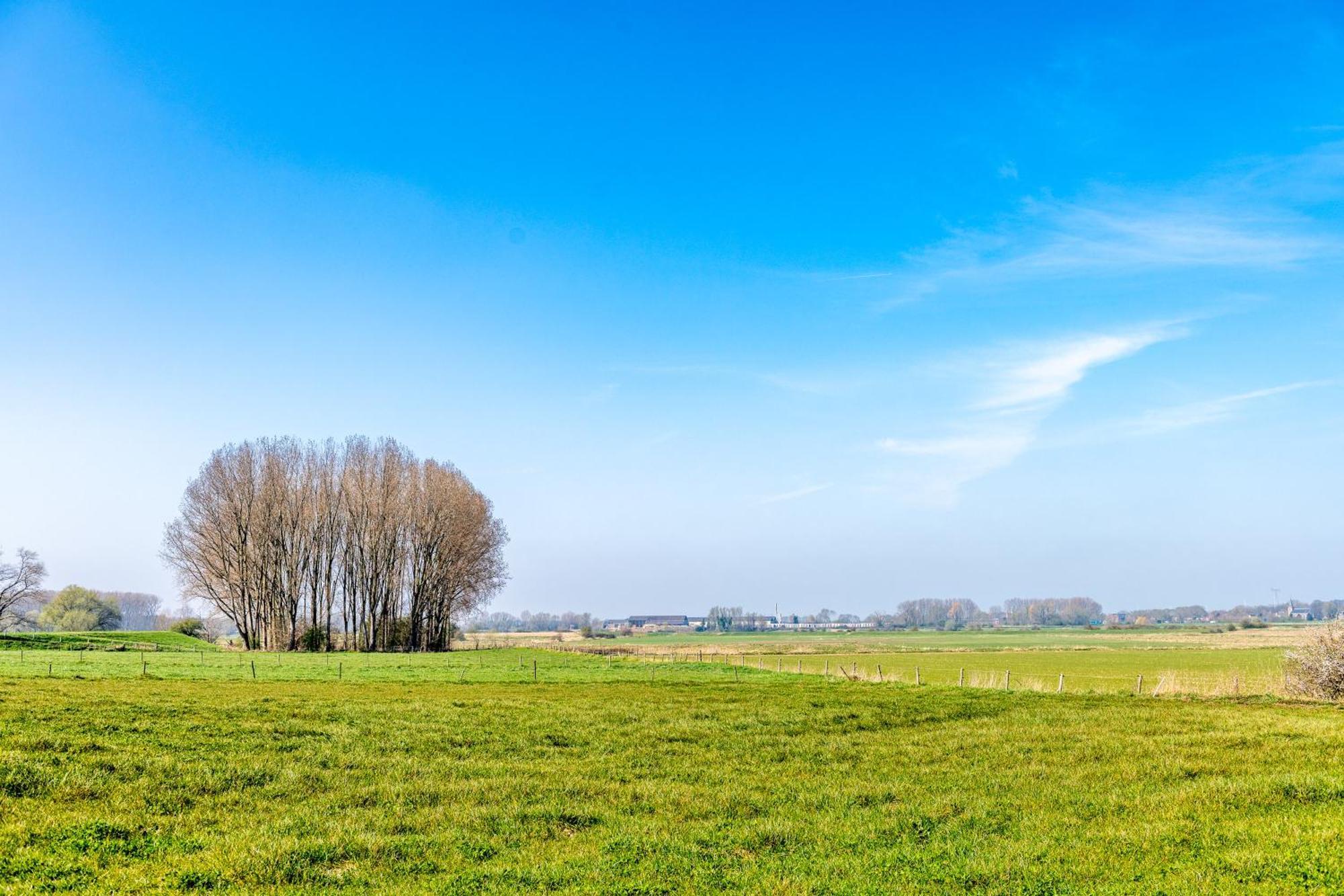 B&B Alemsche Waard Buitenkant foto